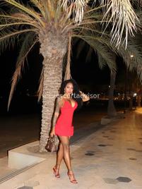Vanessa-2497441