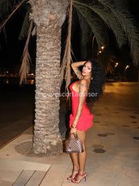 Vanessa-2501350