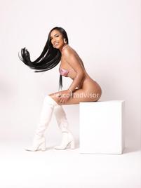 Marcella Brasilianaa-1902500