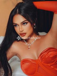 Trans 3926226622 Sammi Asiatica