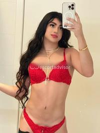 Trans 3349128231 Pamela