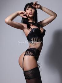 Trans 3314078957 Ale Italiana
