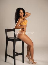 Perla-2500958