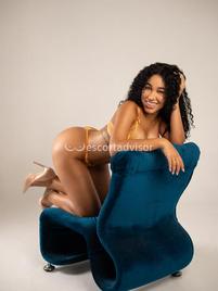 Perla-2500961
