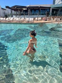 Angelica-2343210