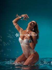 Trans 3270639688 Venere