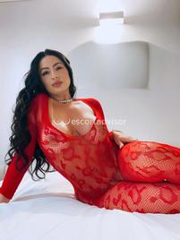 Escort 3447550301 Estrella
