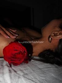 Anny Lingua Rovente-2402122