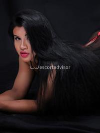 Pamelita -2448671