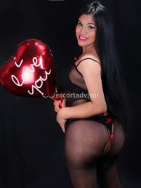 Pamelita -2448677