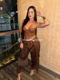 Sofhy-2828902