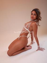 Sienna-2731435