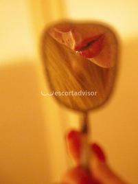 Camilla Italiana-1130805