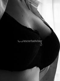 Camilla Italiana-1526653