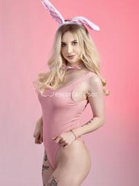 Alice-2743032
