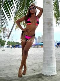Barbie-2783535