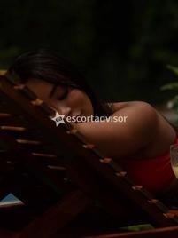 Estrela-2828344