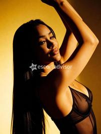 Estrela-2828348