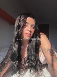 Kelly-2848395