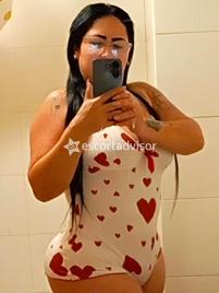 Nikol-2873633