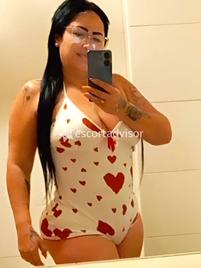 Nikol-2873706
