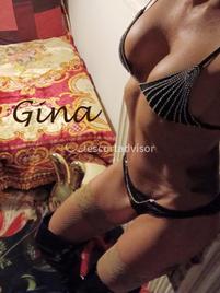 Gina Italiana-1324282