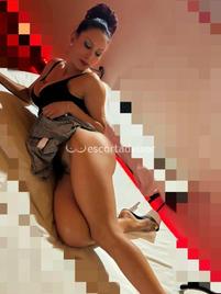 Vaioleth-2580239