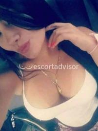 Nicoll-409514