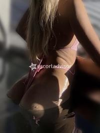 Paloma-2848465