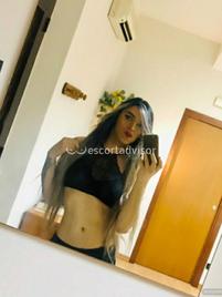 Angelica Trans-869457