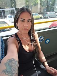 Trans Karla-2734713