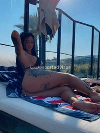 Veronica-1037763