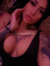 Veronica-1292406