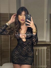 Trans 3342585465 Safina