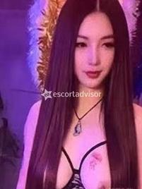Escort 3342275175 Rose Orientale