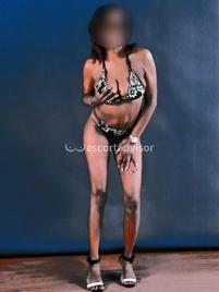 Kety-2676531
