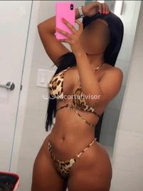Angelica-1730548