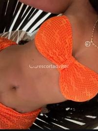 Angelica-2342738