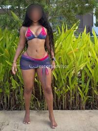 Angelica-2342741
