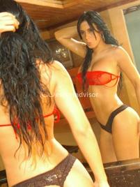 Bella Latina-1174216
