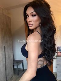 Angel Bunny -2043210