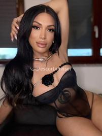 Angel Bunny -2290032