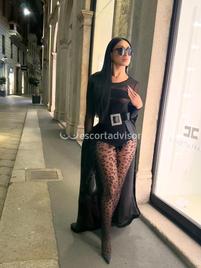 Angel Bunny -2536039