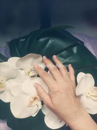 Rebeca-1947975