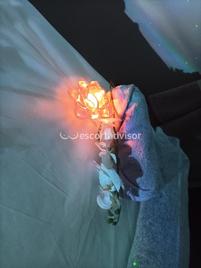 Rebeca-2209196