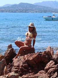 Angel Brasil-2861190
