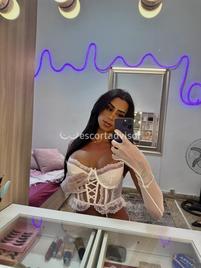 Sophia Tgirl-2469003