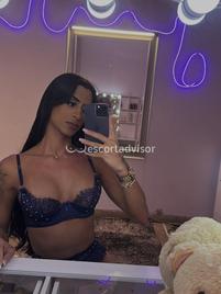 Sophia Tgirl-2605487