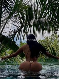 Veronica-2749627