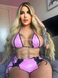 Niky-2146685